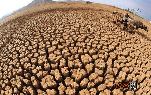 6月17日是什么节日？世界防治荒漠化和干旱日