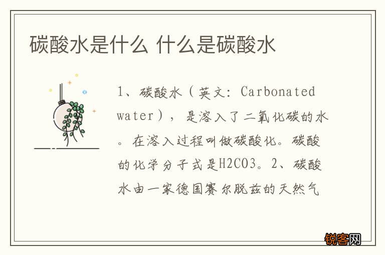 碳酸水是什么 什么是碳酸水