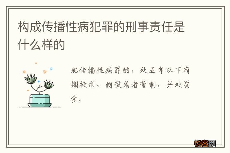 构成传播性病犯罪的刑事责任是什么样的