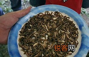世界10大怪异节日：日本裸体节美国无头鸡节等