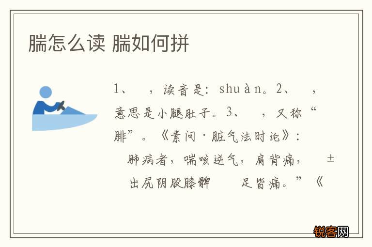 腨怎么读 腨如何拼