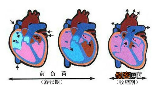 心力衰竭的发病缘由有哪些 该如何医治