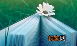 著组词 著怎么组词