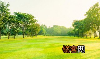植树节小诗 植树节小诗是什么