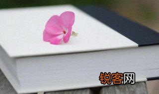 戴字怎么组词 戴的组词有哪些