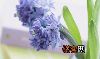 初的组词 初怎么组词