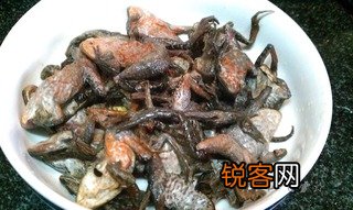 圆葱酱蛤蟆的做法