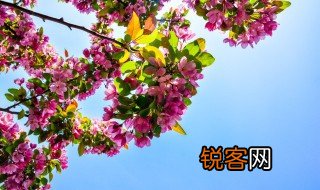 什么是春光无限? 春光无限的解释