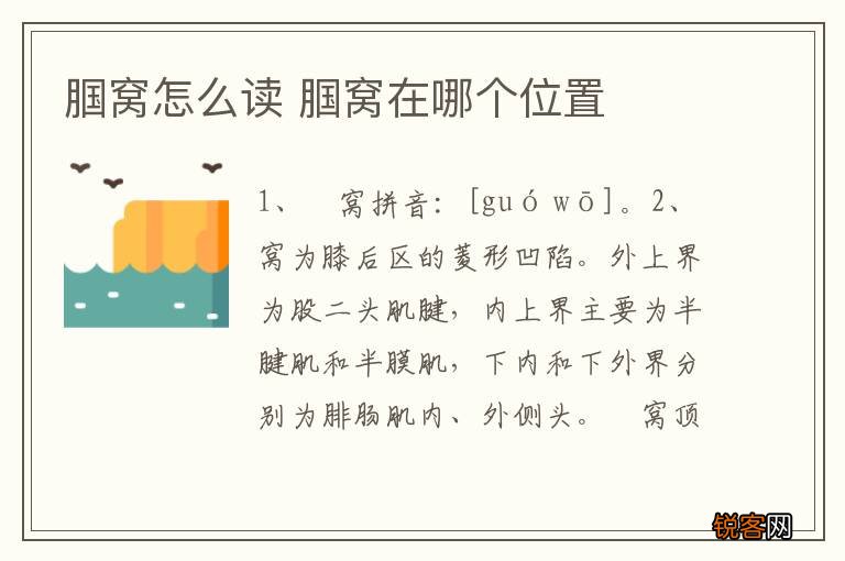 腘窝怎么读 腘窝在哪个位置