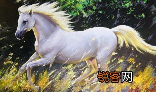 白龙马的性格特点 关于白龙马的性格特点