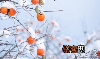 数九隆冬的意思 数九隆冬指的是什么