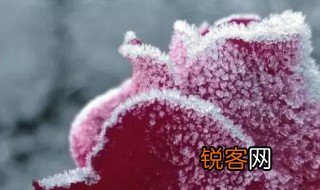 霜形成的两个条件是什么 霜的形成条件有哪两种