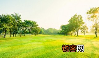 树突和轴突的作用是什么 树突和轴突的作用到底是啥