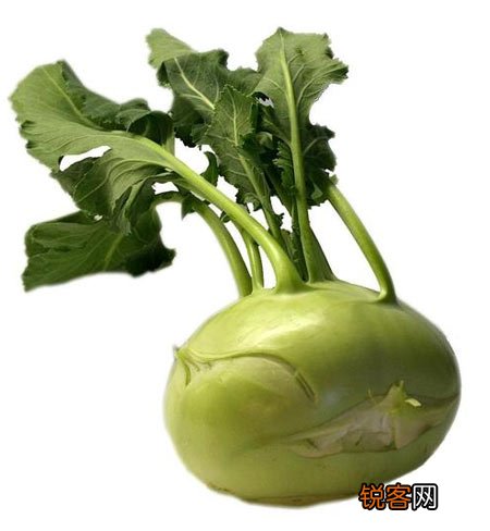 野菜堪比良药盘点春季常见野菜的养生功效