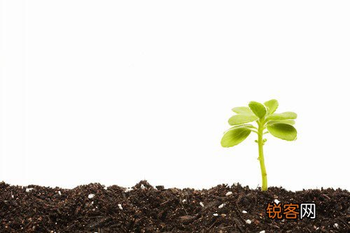 野菜堪比良药盘点春季常见野菜的养生功效