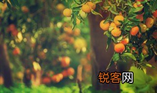 根据树的年轮怎么辨别方向 根据树的年轮可以辨别方向吗