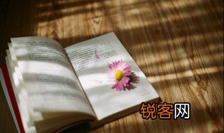 栈组词 栈组词有什么