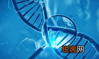 什么是转基因生物 转基因生物的解释