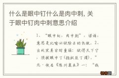 什么是眼中钉什么是肉中刺, 关于眼中钉肉中刺意思介绍