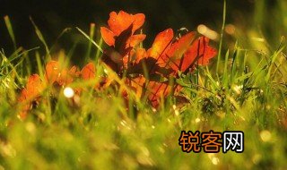 白露节气知识 白露节气介绍