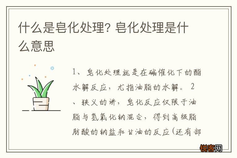 什么是皂化处理? 皂化处理是什么意思
