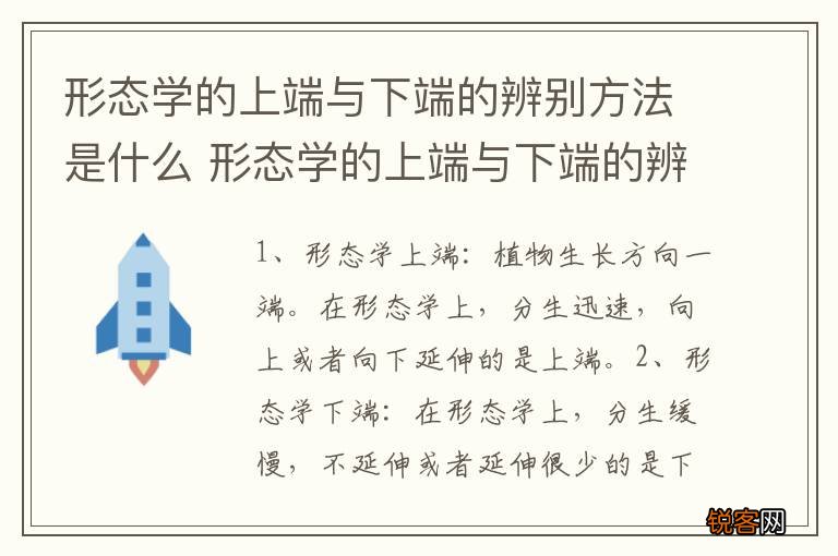 形态学的上端与下端的辨别方法是什么 形态学的上端与下端的辨别方法是啥
