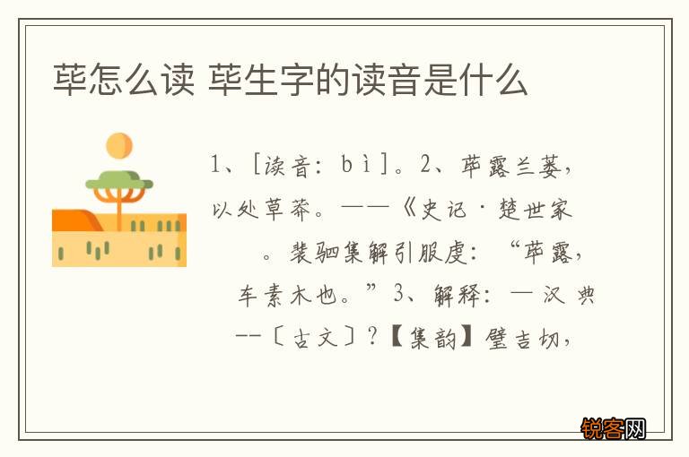 荜怎么读 荜生字的读音是什么