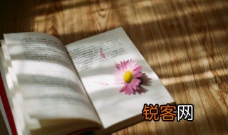 一树梅花一放翁中放翁的意思 一树梅花一放翁是什么意思