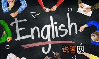 老鼠英文怎么读音 老鼠英文解释