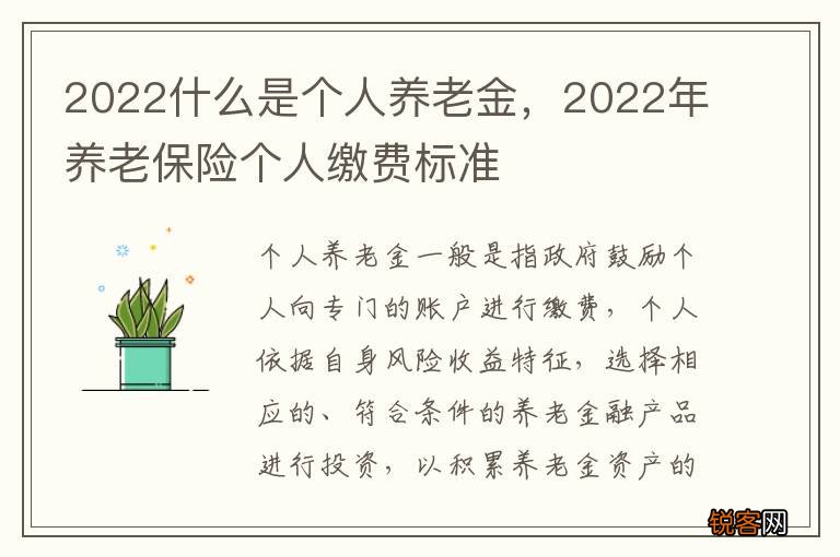 2022什么是个人养老金，2022年养老保险个人缴费标准