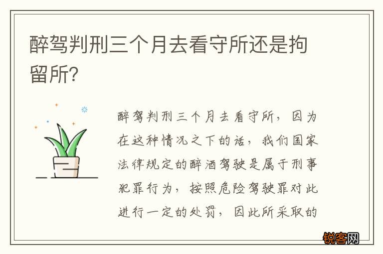 醉驾判刑三个月去看守所还是拘留所？