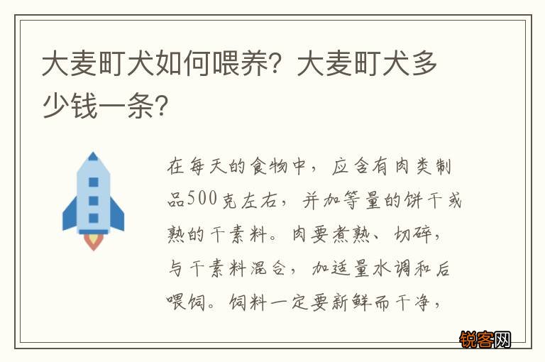 大麦町犬如何喂养？大麦町犬多少钱一条？