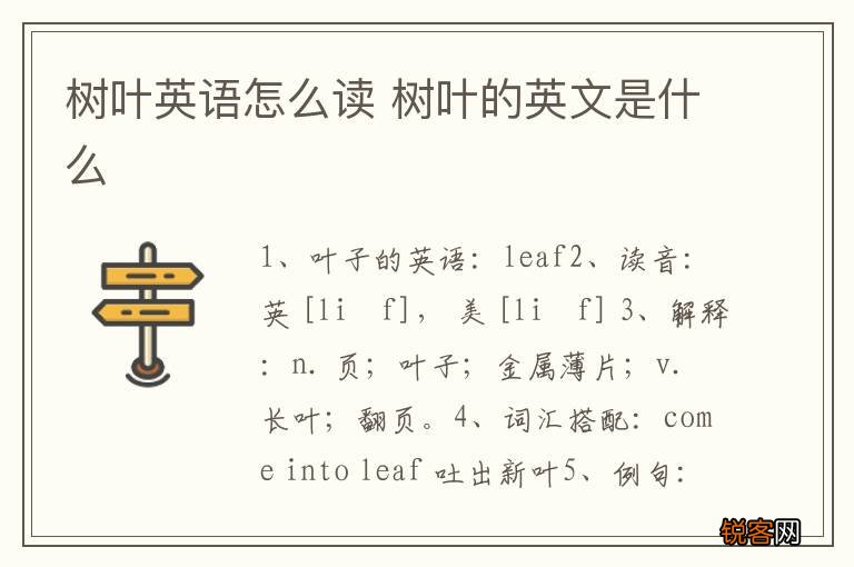 树叶英语怎么读 树叶的英文是什么