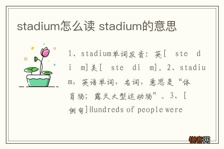 stadium怎么读 stadium的意思