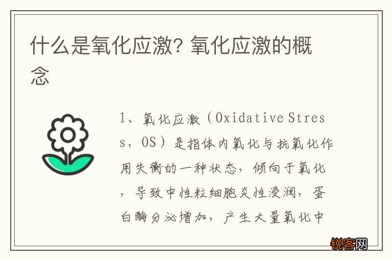 什么是氧化应激? 氧化应激的概念
