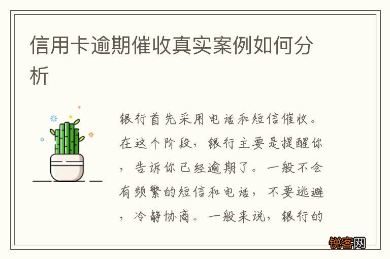 信用卡逾期催收真实案例如何分析