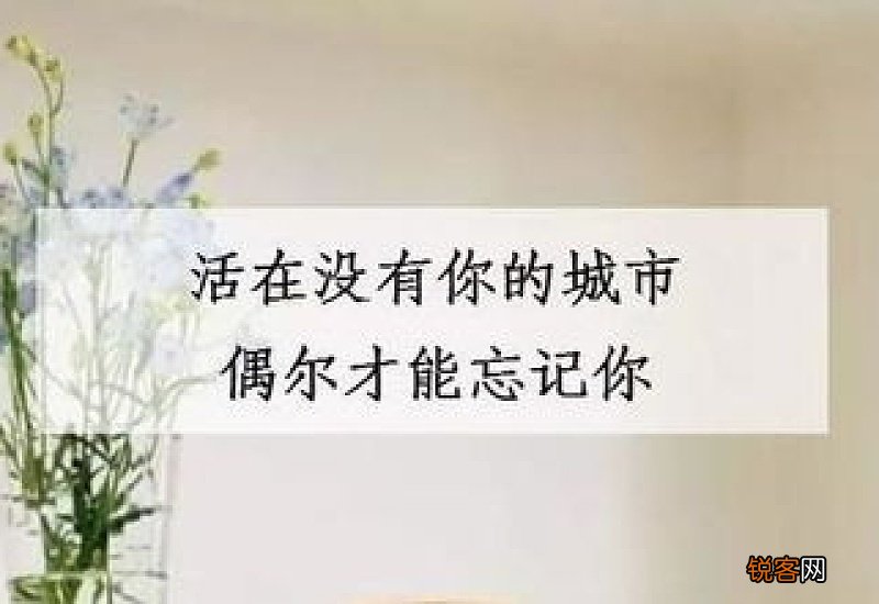 和你这么聊天的人 很在乎你