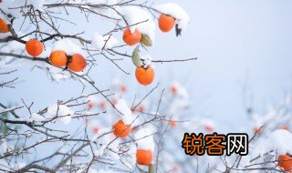 冬天的特点 冬天有什么特点