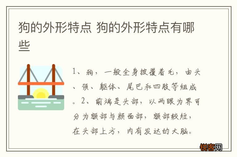狗的外形特点 狗的外形特点有哪些