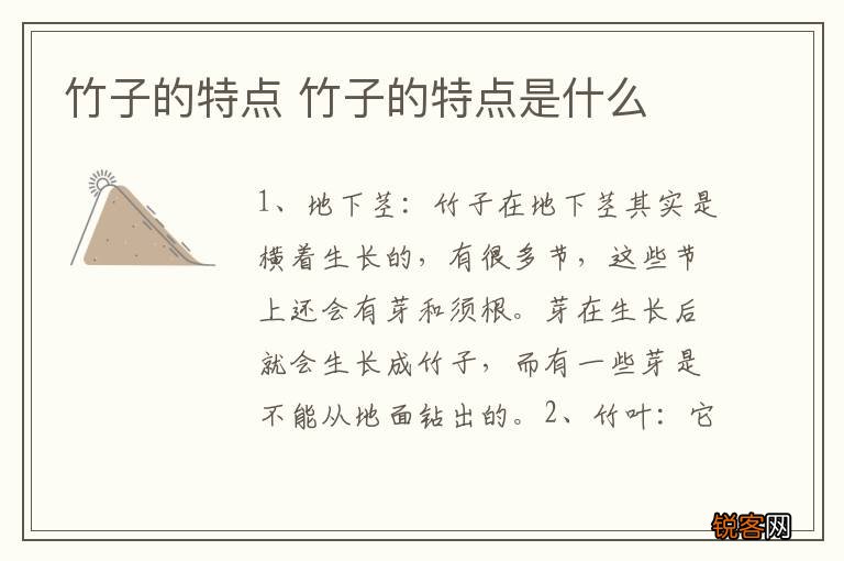 竹子的特点 竹子的特点是什么