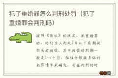 犯了重婚罪会判刑吗 犯了重婚罪怎么判刑处罚