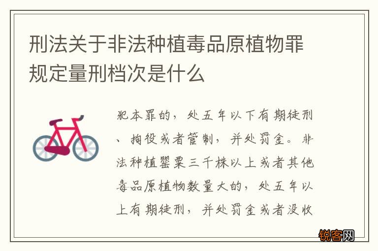 刑法关于非法种植毒品原植物罪规定量刑档次是什么