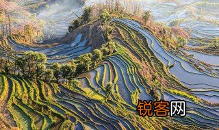 元阳县属于哪个市 元阳县是云南省红河州下辖县之一