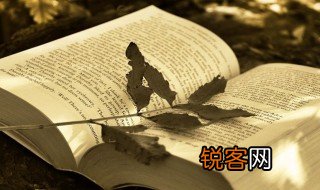 科技是什么意思 科技解释