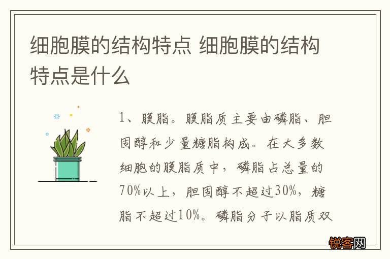 细胞膜的结构特点 细胞膜的结构特点是什么