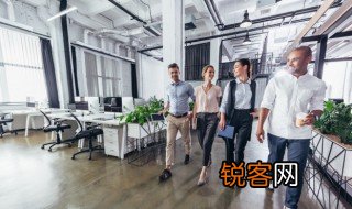 职业生涯的特点包括 职业生涯的特点有哪些