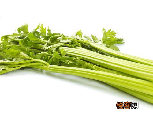 春季养生小常识牢记“5宜5忌”
