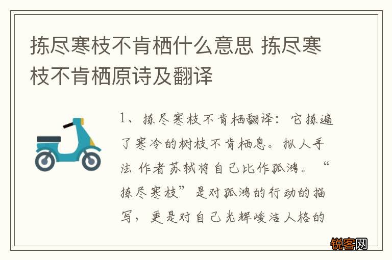 拣尽寒枝不肯栖什么意思 拣尽寒枝不肯栖原诗及翻译