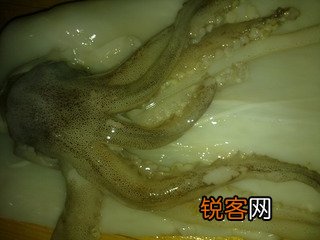 洋葱炒鱿鱼的做法
