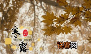 寒露节气古诗 关于寒露节气的古诗有哪些